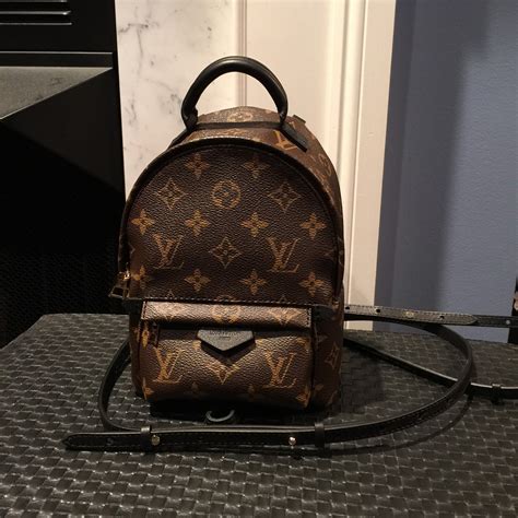 lv palm spring mini bag|louis vuitton palm springs backpack.